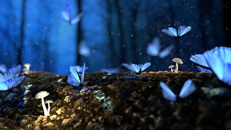 Enchanted Forest Backdrops